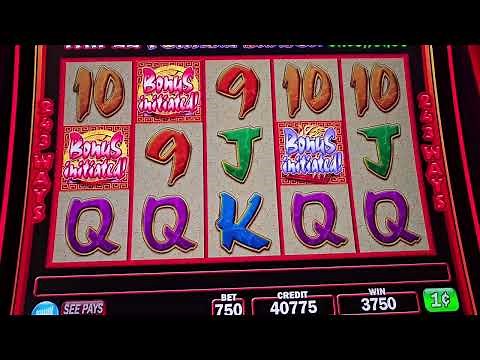Awsome Jackpots the 🐉 🐉 SHAKING 4 times on high bet @ Quilceda Creek Casino.