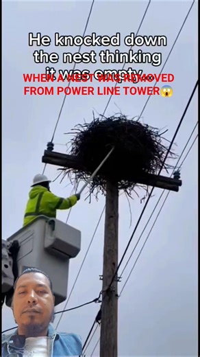 This Started When A Nest Removed From Power Line Tower😱 #nest #eaglerescue #eaglenest
