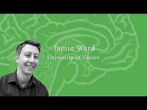 Basics of fMRI