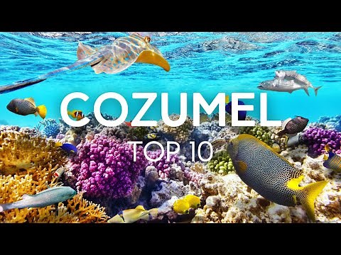 Top 10 Things to do in Cozumel Mexico