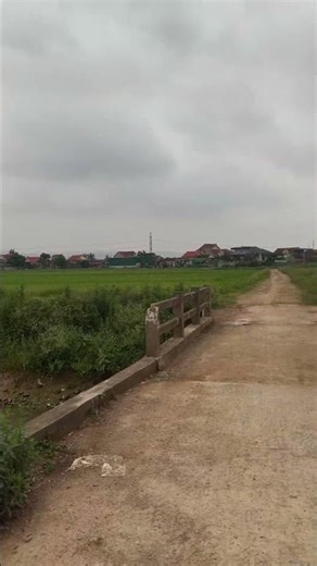 ruộng đồng mênh mông