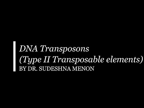 DNA Transposons (Type II Transposable Elements)