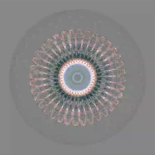 Motion illusion Circle