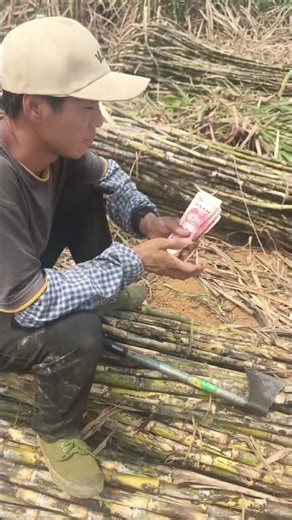 Fresh Beer & Sugarcane: Lu Han's Home Brew Experience