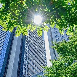 2025 Invesco Global Sovereign Asset Management Study