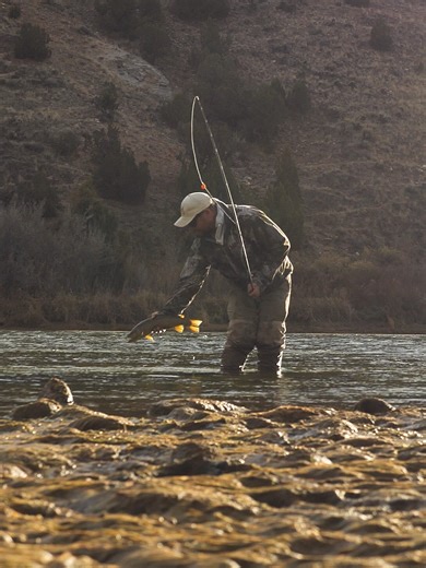 Beginner fly anglers — this is the nymph rig that actually catches fish. We’ll show you exactly how to tie a double nymph setup step-by-step using a simple diagram. Which part of rigging trips you up the most? #flyfishing #troutfishing #beginnerflyfishing #flyfishingtips #venturesflyco