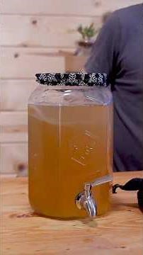 Stop Buying Kombucha (Brew It Instead)