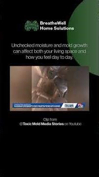 Moisture Leads to Mold ⚠️ Don’t Ignore These Warning Signs