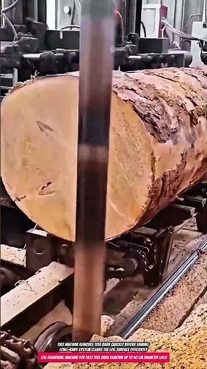 Log Debarking Machine for Fast Tree Bark Removal up to 40 cm Diameter Logs