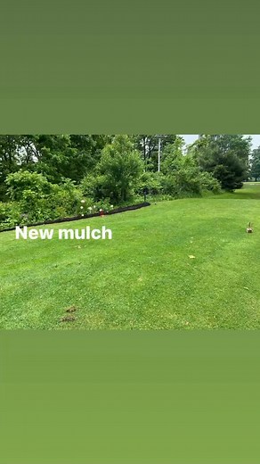 Diamond Lake Golf Course on Reels