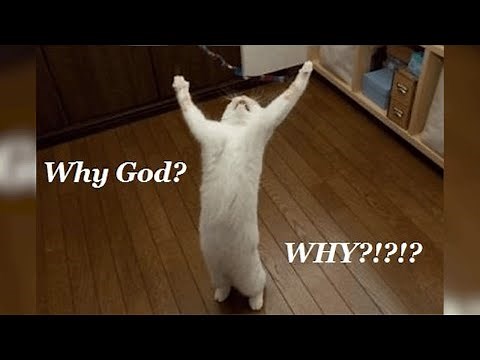 Phaser 3 Game Tutorial - 04 - Refactoring to Typescript