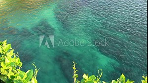 Panoramic video Azure ocean sea water on coral reef seaside scope in Bali, Indonesia.