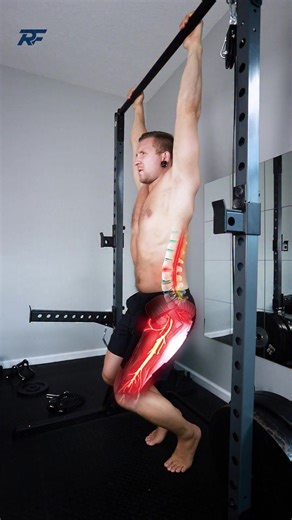 💥 This simple progression reduces disc pressure and calms leg pain ❌ Most people try to stretch their back forward when it feels tight. But forward bending is often what creates disc pressure in the first place. To fix it, you need the opposite: extension first, then stability. Here’s how to reverse pressure and calm the nerve 👇 1️⃣ Unload the Spine Use pain-free positions to reduce nerve pressure and settle symptoms 2️⃣ Restore Motion Gradually bring movement back to the hips and spine to bal