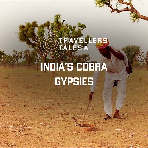 Raphael spent a couple of days with Indian gypsies, which included a look into how they live with cobras 👀🐍 | UNILAD Adventure