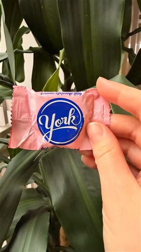 It’s National (York) Peppermint Patty Day… and if you’re in York County, you already know we have a sweet history with this delicious candy 🍫 Did you know the iconic Peppermint Patty was first created right here in York, PA? The cool, chocolate covered classic helped put our county on the confectionary map. We’re still proud of our sweet roots today! Whether you’re a mint chocolate combo lover, a candy buff, or just looking for a fun reason to celebrate, today’s the perfect excuse to: 🍫 Indulg