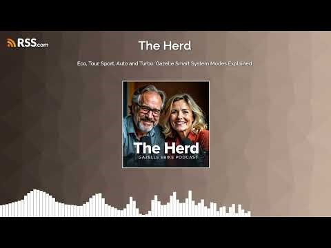 Eco, Tour, Sport, Auto and Turbo: Gazelle Smart System Modes Explained