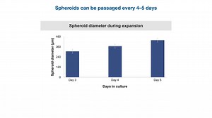 Growing with Gibco workflow series: Scalable approaches to stem-cell derived organoids, part 2 - Scientific Videos | Thermo Fisher Scientific US