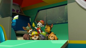 Nick Jr Fast and Furriest Stunt Paw Patrol Promo