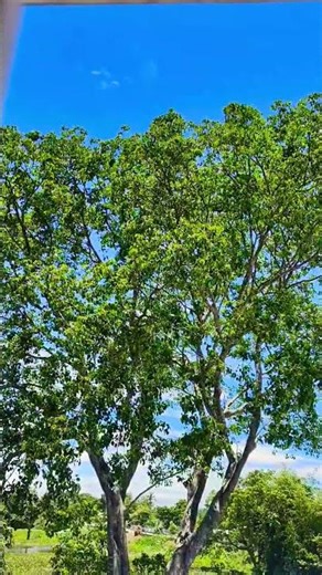 kishor kumar song #hindisong#oldisgoldsongs#90shindisong