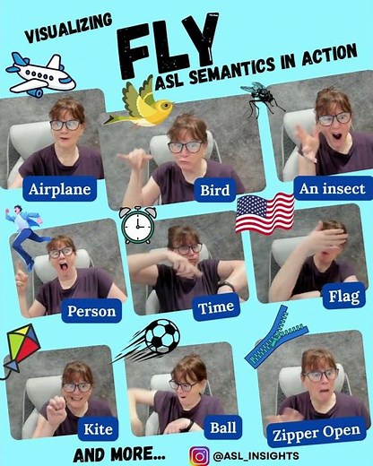 Visualizing FLY ASL Semantics in Action