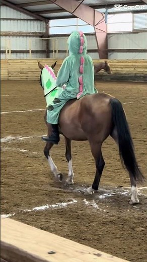 Veikko was the best dino for the halloween parade❤️🦖