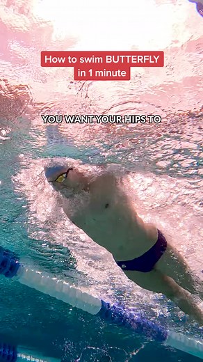 31K views · 630 reactions | Take notes, because we're breaking down the butterfly in less than 60 seconds!  What butterfly tip helps you the most? Click here for a longer explanation of how to swim butterfly, plus the other 3 strokes ➡️ https://bit.ly/3y71r6m | MySwimPro | Facebook