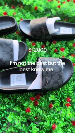 B.P.D.W (@b.p.d.w)’s videos with Cree - alkaline & Countree Hype