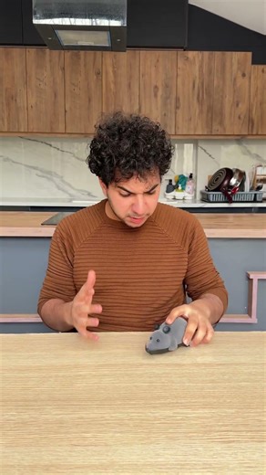 How can I stop this mouse???