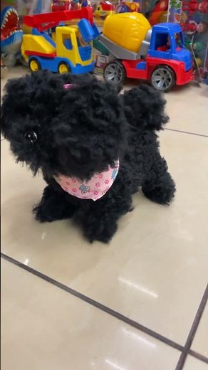 Fartastic Fidos Hilarious Walking Dog and a Plush Farting Companion!