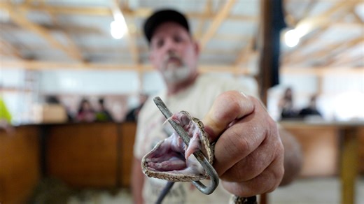 80th Waynoka Rattlesnake Hunt celebrates Oklahoma tradition unlike any other