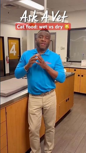 Wet vs. dry cat food 🐈🍽️ Dr. Hodges breaks down the benefits of each! #PetSmartAskAVet