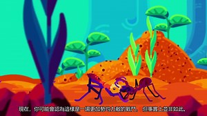 【Kurzgesagt】中字 （蚂蚁的世界大战）The World War of the Ants – The Army Ant