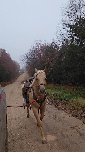 1.2K views · 13 reactions | Jared Walker on Reels | Facebook