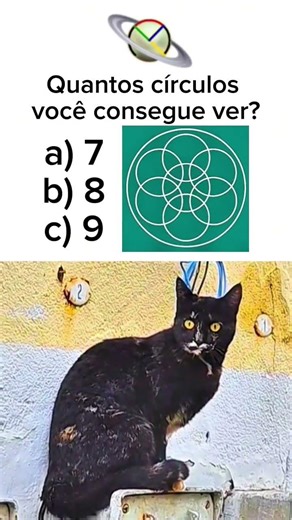 QUANTOS CÍRCULOS TEM? VOCÊ CONSEGUE VER TODOS? DESAFIO DE RACIOCÍNIO LÓGICO?