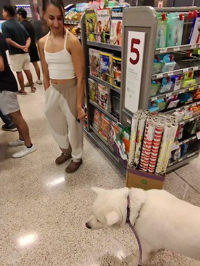 So gentle with Akita 🤍 Dog lovers recognize dog lovers — she has two beautiful pups 👉 Follow for daily Akita interactions 🤍