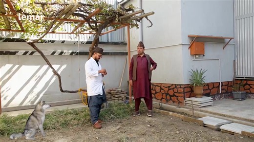 Afghan (@afghan.tv.1)’s videos with original sound - Afghan