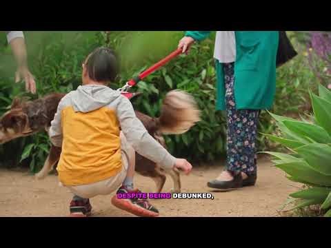 Vaccines and Autism: Everything You Need to Know