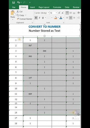 CONVERT TO NUMBER , Number Stored as Text | error in Excel