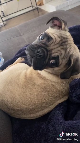 I had to do it again, my poor baby was sleeping.