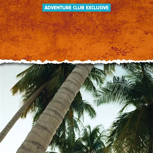 Gear up with the brands you trust and boost your chances to WIN!🎣 Every $50 you spend gets you closer to winning the ultimate Anaconda Adventure. Earn 3x entries when you shop participating brands! Spend $50 = 1 entry. Competition ends 5:00pm AEST 31/05/2026. Terms & Conditions apply. NSW TP/03917 NTP/14816, ACT TP 25/02550, SA T25/1916. | Anaconda Stores