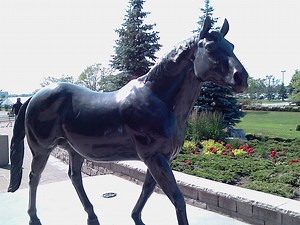 Legends of the Track: Northern Dancer – Diary of an OTTB