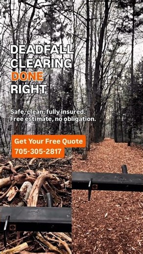 Deadfall Clearing Done Right