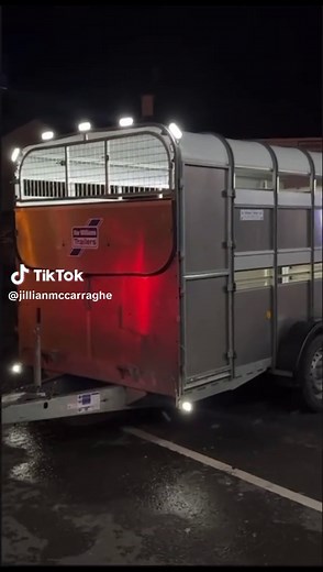 🐄 🐑 FOR SALE 🐑 🐄 We are selling our 14x6 Ifor Williams livestock trailer due to upgrading to a bigger one. This trailer is in perfect condition, has been very well looked after and washed out after every use. Comes with dividing gate, extra LED lights and a spare wheel which has never been used! Private message me price 😊@Andrew Smart #iforwilliamstrailers #farmlife #cattletrailer #foryou #fyp