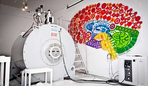 Research Highlights »  Office of Research » College of Medicine » University of Florida