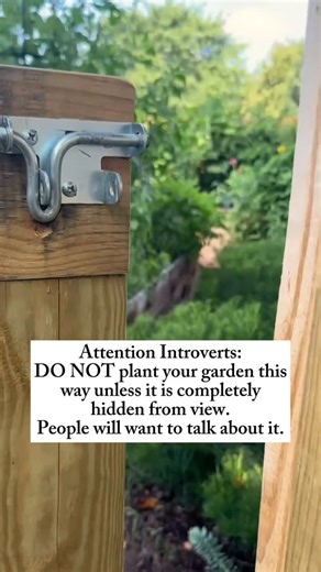 Comment GUIDE to get the Gardenary Fall Planting Plans and Growing Guide 🌿🌿🌿 You’ll learn how to plant like this-but only do it if you’re up for answering lots of questions from anyone who can see it. 😮 In this garden, we planted: Butterhead Lettuce Kale Broccoli Radishes You can plant soooo much more in your garden when you try the Gardenary way. Get my Fall Planting Plans and Growing Guide for $9 only today, just comment GUIDE and I’ll send it your way! | Gardenary