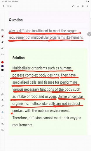 Why is diffusion insufficient to meet the oxygen requirements of multicellular organisms like humans