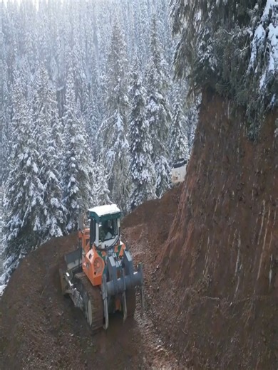 #bulldozer #excavator #forestry