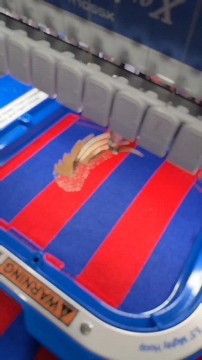 Custom bibs to wrestle up some spirit! 🪶💙❤️ | Den Designs