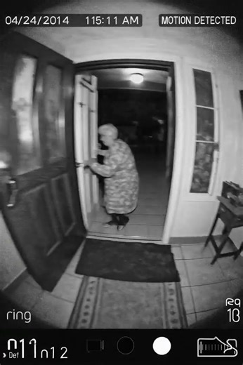 Wild Boar Breaks Into a House 🐗 | Ring Camera Footage
