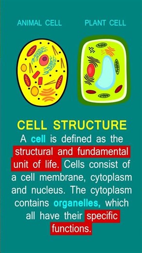 cell structure and function
